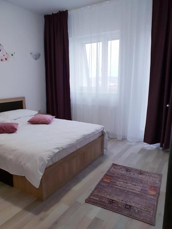 Friendly Rentals Vivamus Brasov Exterior photo